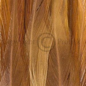 Saddle Hackle Natural Brown