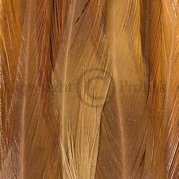 Saddle Hackle Natural Brown