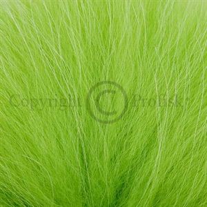 Finn Raccoon Body Chartreuse