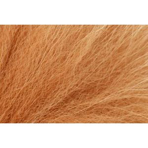 Pro Marble Fox Ginger