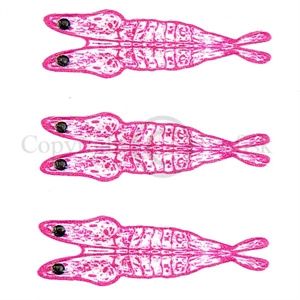 Pro 3D Shrimp Shell XX-Small Pink/Clear base