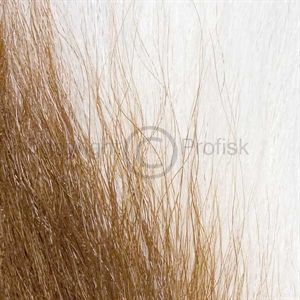 Bucktail White Natures Spirit