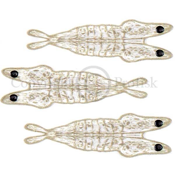 Pro 3D Shrimp Shell X-Smal Light Tan/Clear base