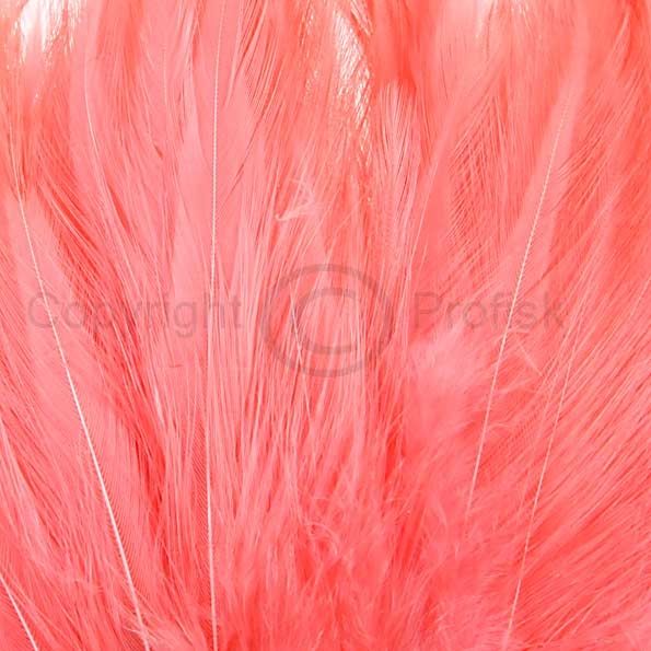 Hanehackler Salmon Pink