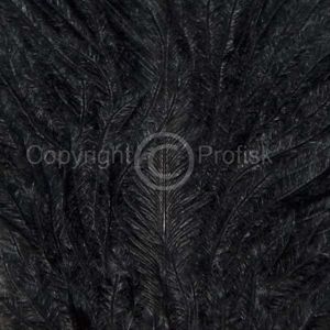 Spey Plumes Black