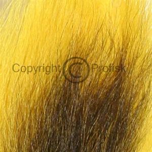 Bucktail Yellow