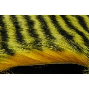 Pro Rabbit Yellow/Chartreuse/Black