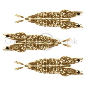 Pro 3D Shrimp Shell XX-Smal Brown/Clear