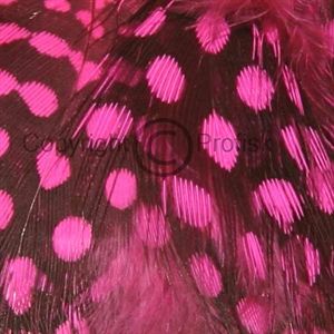 Perlehøne kropsfjer Fluo Pink