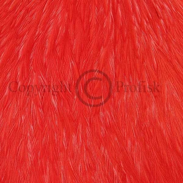 Streamer rooster necks Hot Orange