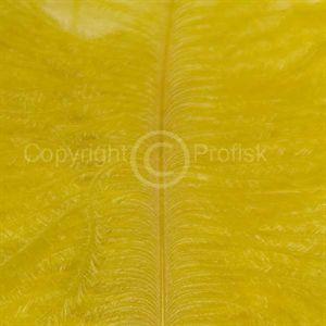 Spey Plumes Yellow