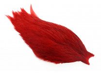 Whiting American Rooster Cape Red
