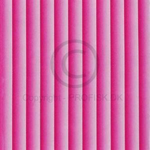 Pro Segmentation skin Pink/Clear 4 mm