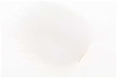Tanuki Select White