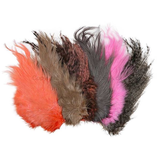 Whiting Bird Fur