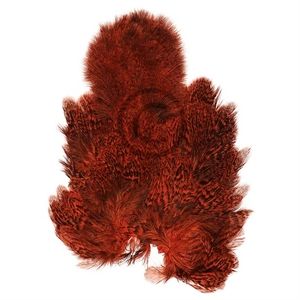Whiting Coq de Leon Hen Saddle SH/C Speckled Orange