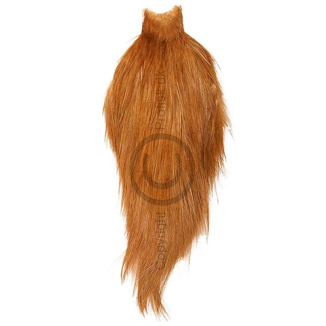 Whiting Rooster Spey Bronze Cape Medium Ginger
